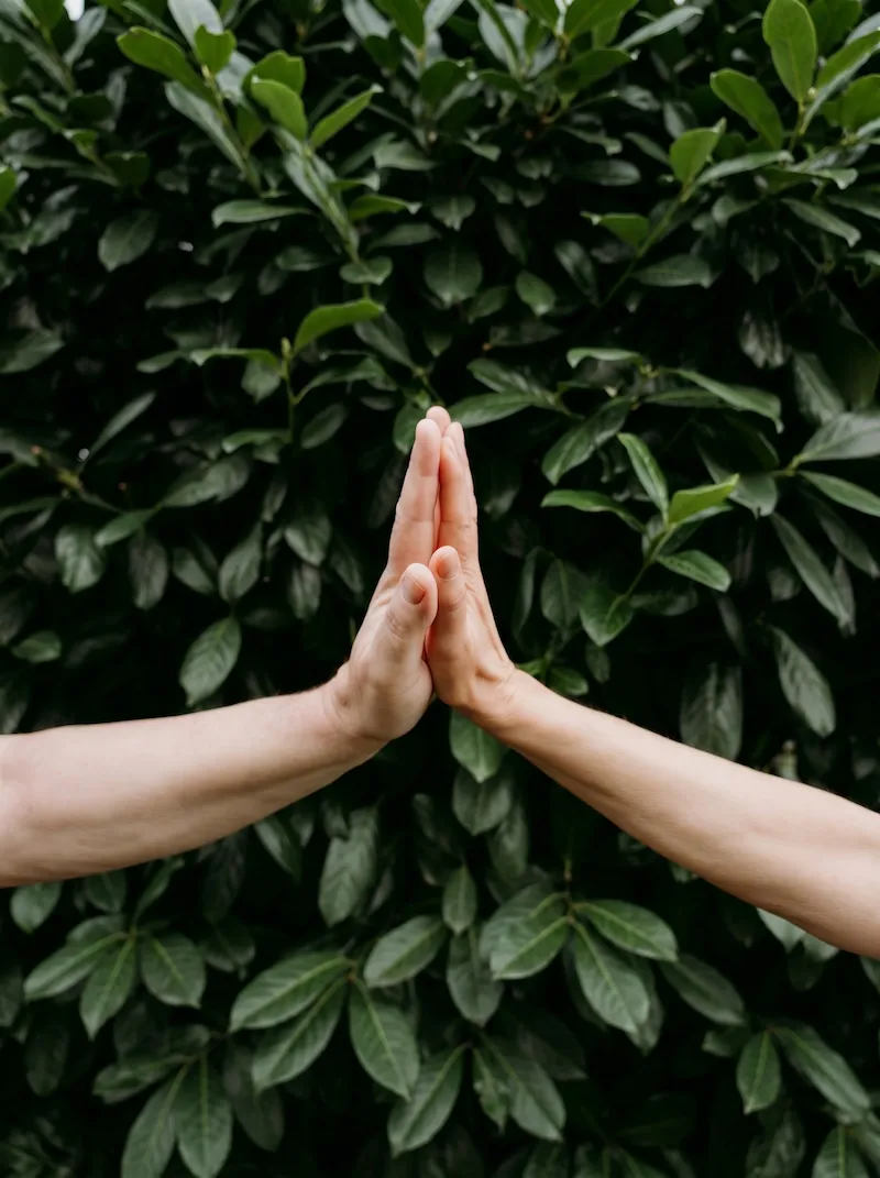 Accompagnement sur objectif